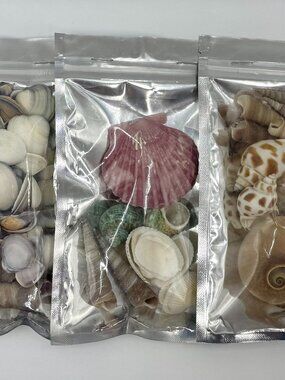 3 Bags Mixed Sizes And Colors Seashells, Bundle DIY Arts And Crafts